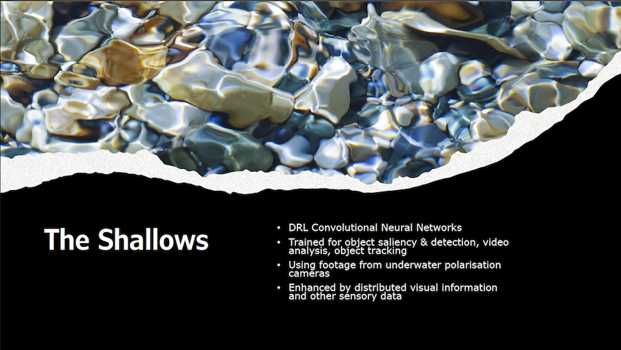 slide 10, The Shallows, using DRL Convolutional Neural Networks trained for object saliency and detection, video analysis and object tracking.