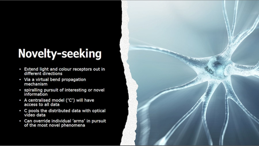 slide 13, Novelty-seeking ML models that simulate an octopus' distributed decision-making and central override.