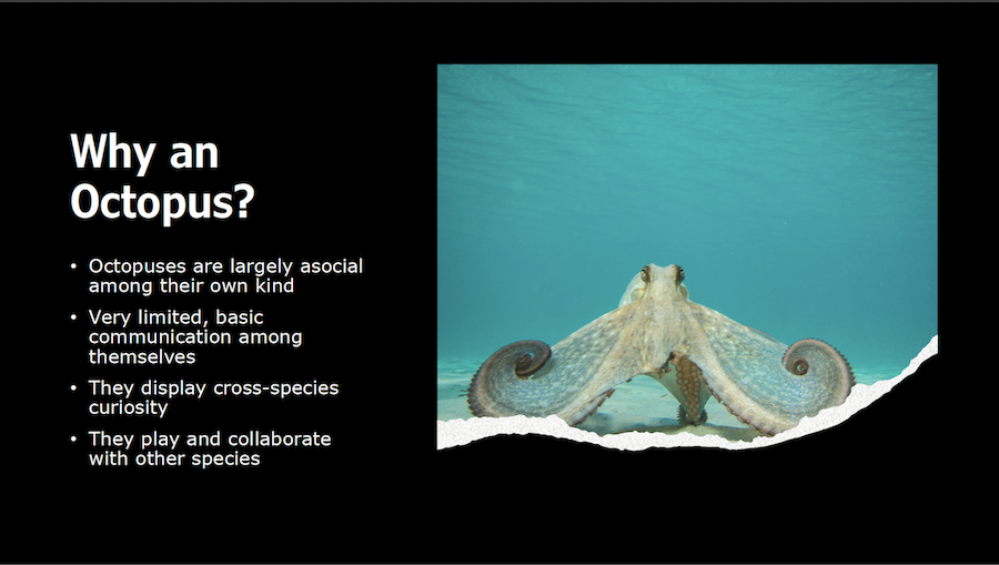 slide 3, Why an Octopus? They display cross-species curiosity and play and collaborate with other species.