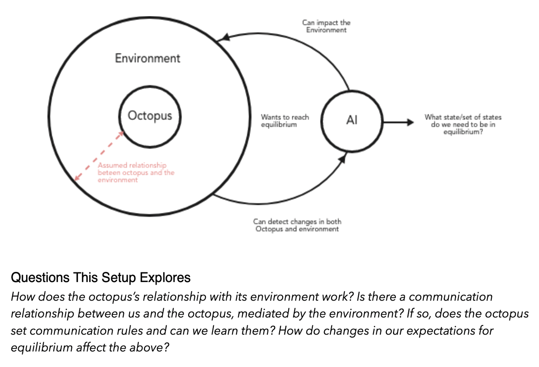 questions this setup explores: is there a communication relationship between us and the octopus, mediated by the environment? If so, does the octopus set communication rules and can we learn them? How do changes in our expectation for equilibrium affect the above?